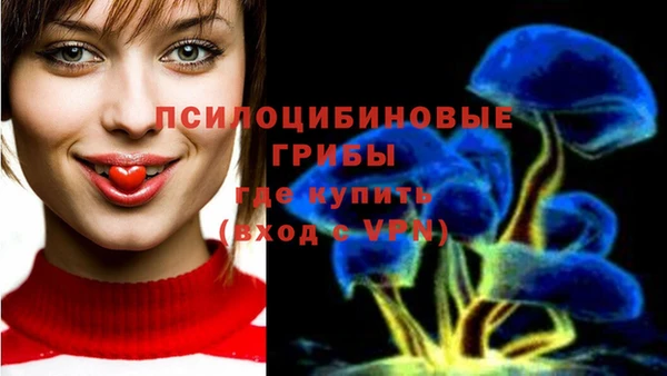 ALPHA PVP Рославль